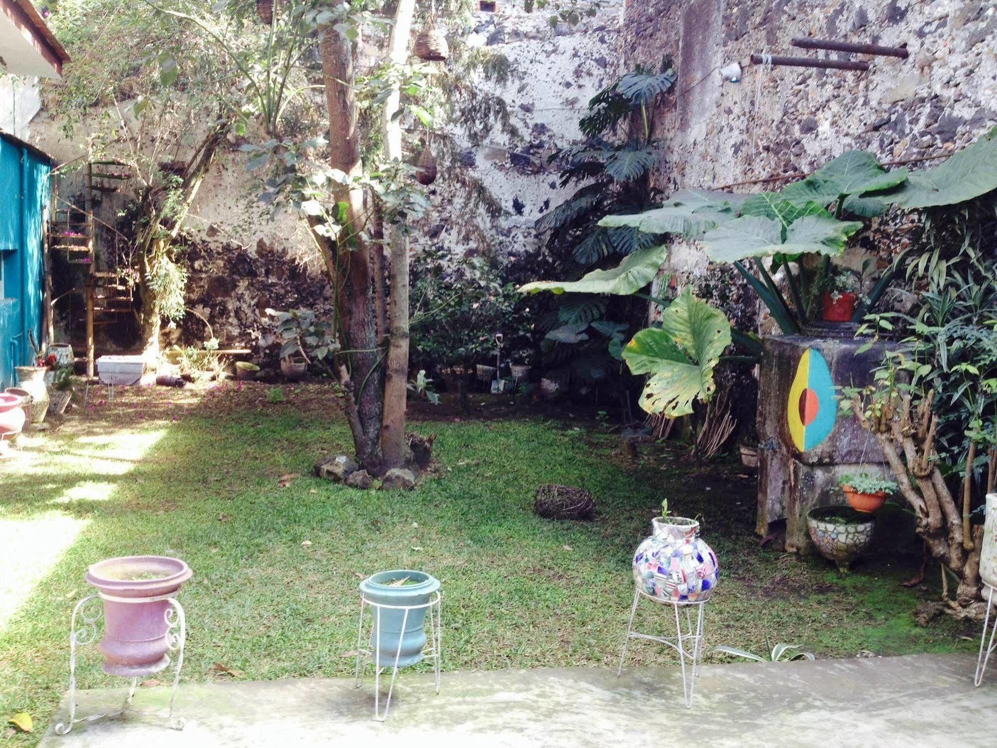 Catre De Mi Corazon Vandrarhem Xalapa Exteriör bild